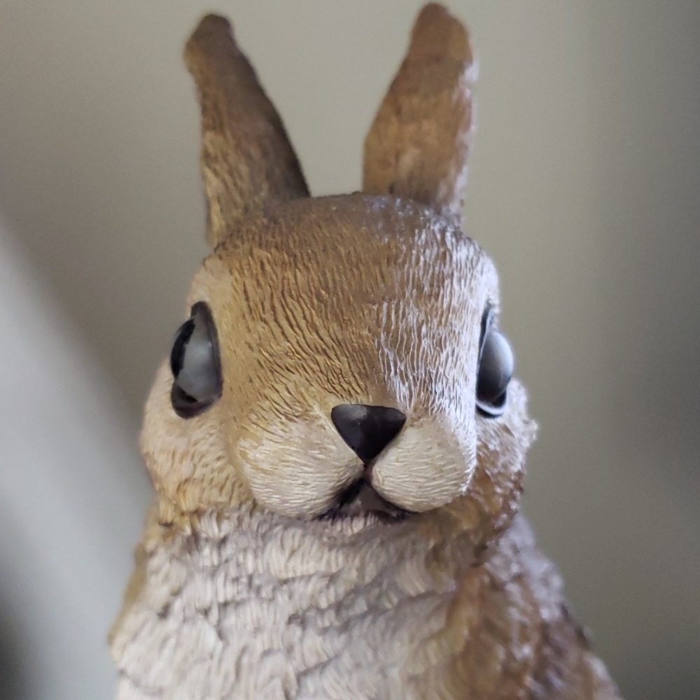 Meet your Posher, Sweety